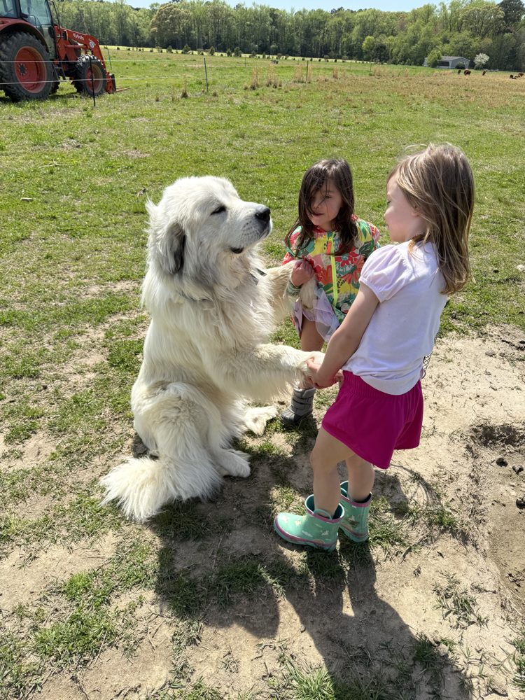Our daughters with one of our dogs